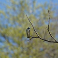 DSC02223.JPG