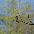 DSC02224.JPG