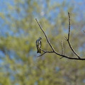 DSC02226.JPG