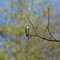 DSC02227.JPG