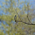 DSC02228.JPG