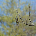 DSC02232.JPG