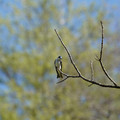 DSC02235.JPG