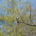 DSC02236.JPG