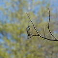DSC02240.JPG