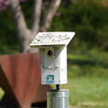 DSC02241.JPG