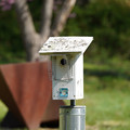 DSC02242.JPG