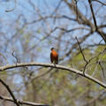 DSC02243.JPG