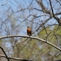 DSC02244.JPG