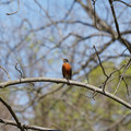 DSC02245.JPG