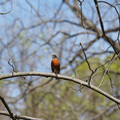 DSC02246.JPG