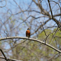 DSC02247.JPG