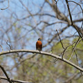 DSC02248.JPG