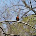 DSC02249.JPG