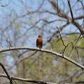DSC02250.JPG