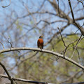 DSC02251.JPG
