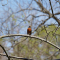DSC02252.JPG