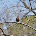DSC02253.JPG