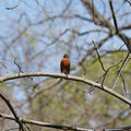 DSC02254.JPG