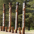 DSC02255.JPG