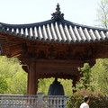 DSC02256.JPG
