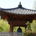 DSC02257.JPG