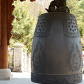 DSC02258.JPG