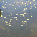 DSC02262.JPG
