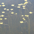 DSC02263.JPG