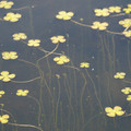 DSC02264.JPG