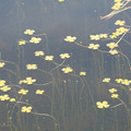 DSC02265.JPG