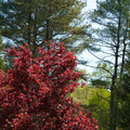 DSC02266.JPG