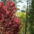 DSC02267.JPG