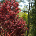 DSC02268.JPG