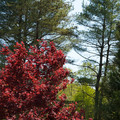 DSC02269.JPG