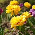 DSC02270.JPG