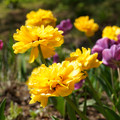 DSC02271.JPG