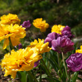 DSC02272.JPG