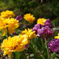 DSC02273.JPG