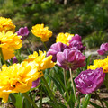 DSC02274.JPG