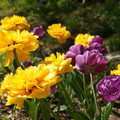 DSC02276.JPG