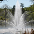 DSC02278.JPG