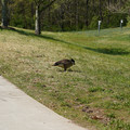 DSC02279.JPG
