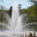 DSC02280.JPG
