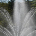 DSC02281.JPG