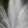 DSC02282.JPG