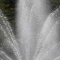 DSC02283.JPG