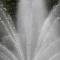 DSC02284.JPG
