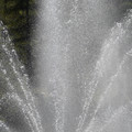 DSC02285.JPG