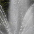 DSC02286.JPG